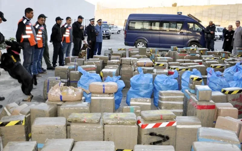 Un record de 5,5 tonnes de drogue saisies à Nador