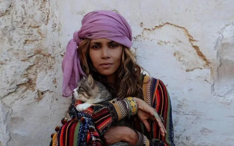 Ce qu'ont rapporté les tournages de films et séries étrangers au Maroc