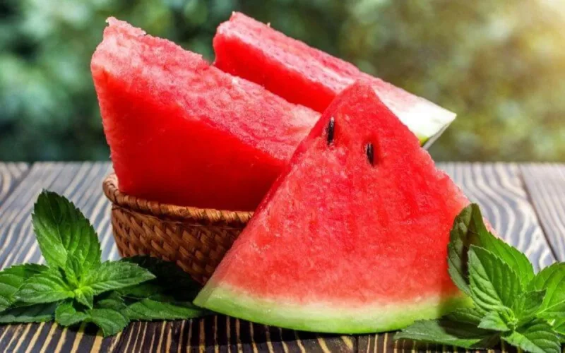 Le Maroc est le 3e producteur mondial de pastèques
