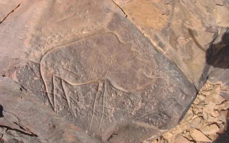 Maroc : voici les quatre sites classés "Monuments historiques"