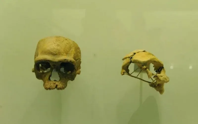 La France va rendre 35.000 pièces ethnographiques au Maroc
