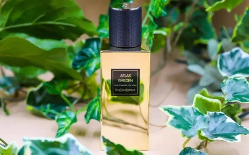 Yves Saint Laurent s'inspire du Maroc pour son nouveau parfum