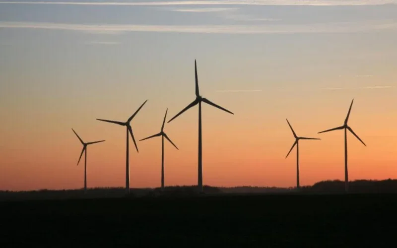 Le Parc éolien de Boujdour bientôt une réalité
