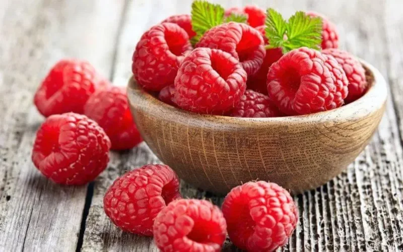 La framboise marocaine souffre