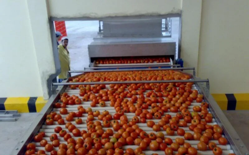 Une station de conditionnement de fruits et légumes à Dakhla