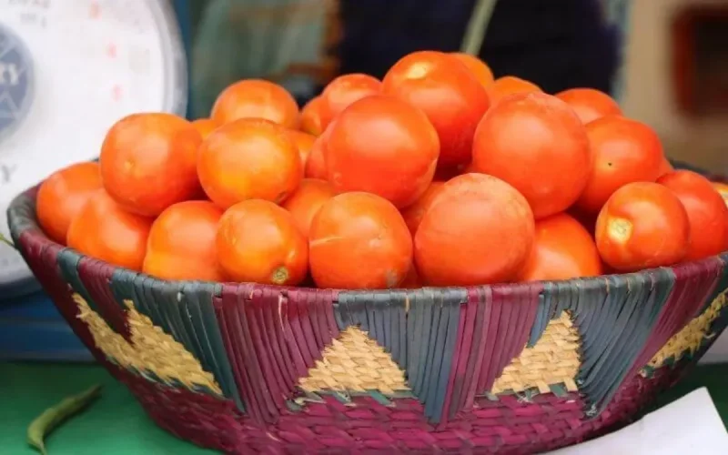 Appel au gouvernement pour mettre fin au blocage des produits marocains en Espagne