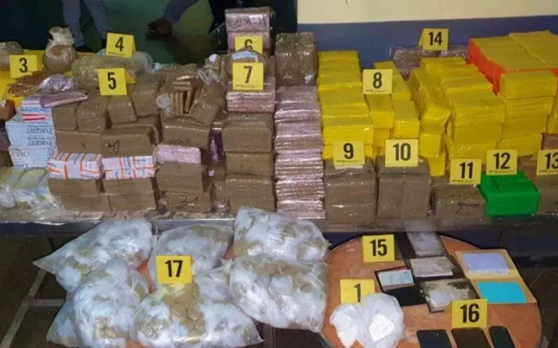 Nador : un Espagnol arrêté pour tentative de trafic de 770 kg de drogue