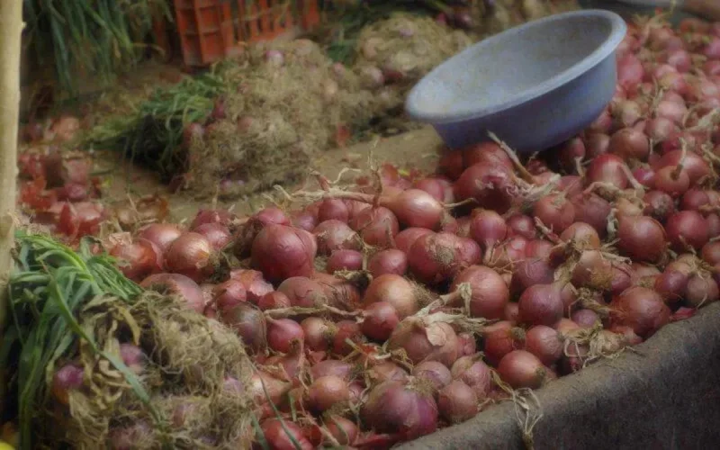 Le Maroc reprend les exportations d'oignon et de pomme de terre vers l'Afrique de l'Ouest