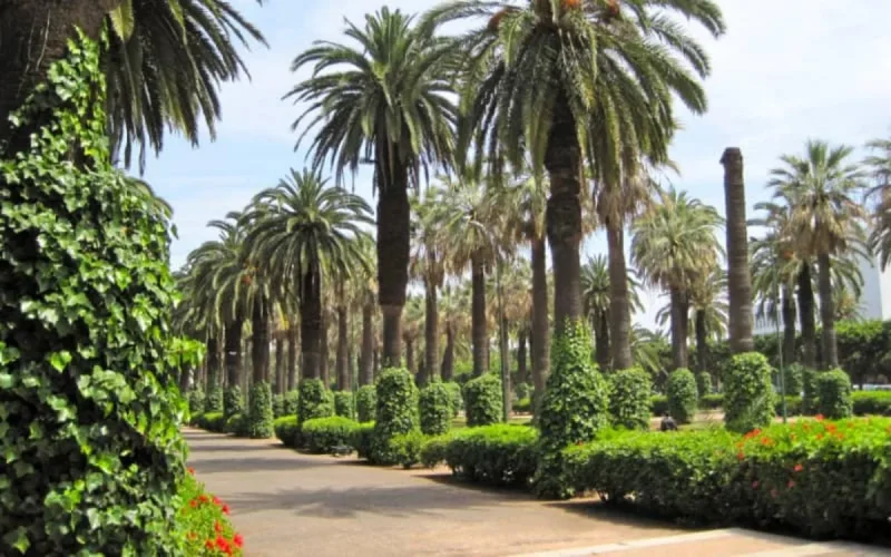 Casablanca, aux bons soins de ses parcs