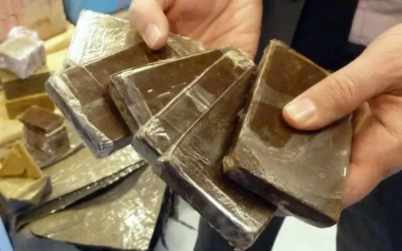 Une opération de trafic de drogue déjouée à Nador