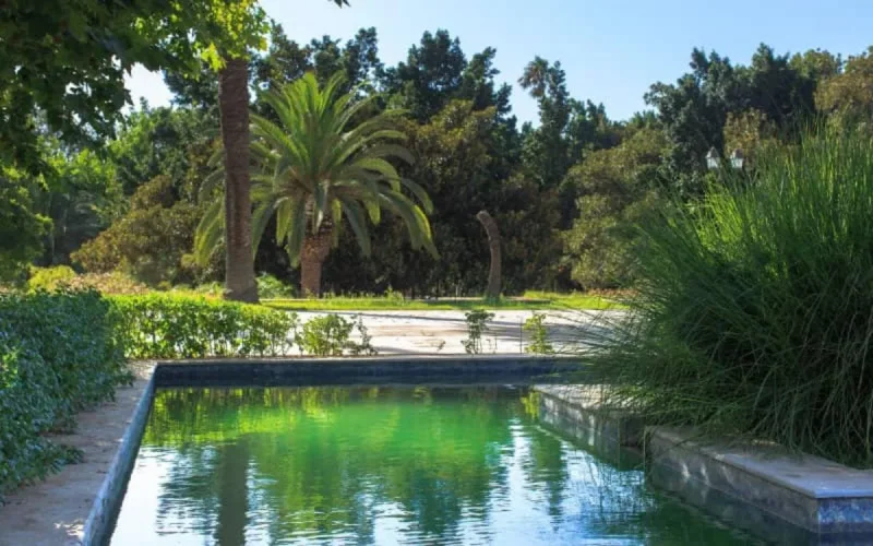 La ville de Rabat a trouvé une solution pour ses espaces verts
