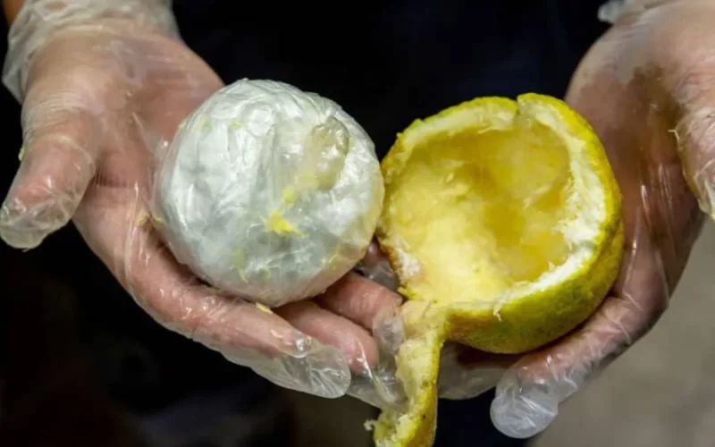 Quand la drogue passe par des fruits et légumes exotiques