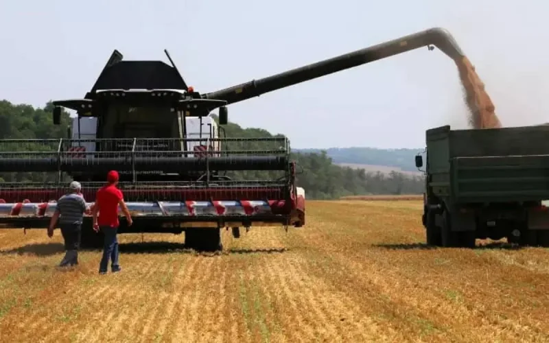 Mesures contre le blé en Russie : le Maroc doit-il s'inquiéter ?