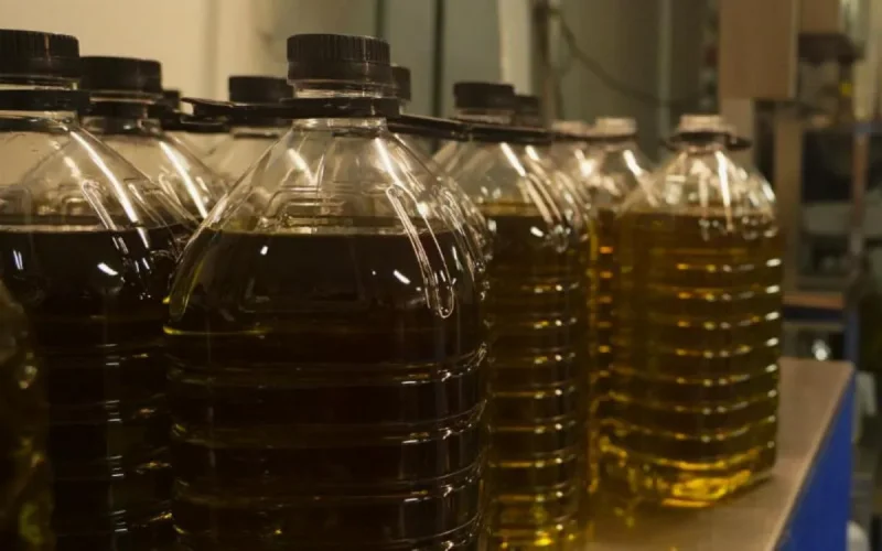 Huile d'olive : le Maroc a trouvé un autre pays pour s'approvisionner