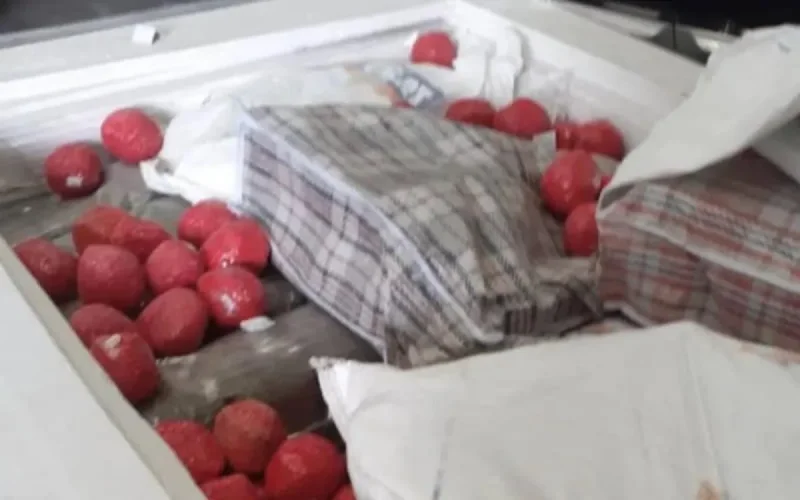 Près de 800 kilos de cannabis dans des « valises marocaines » saisis en France
