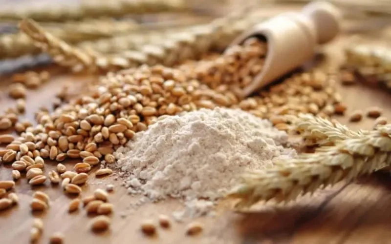 Le Maroc pourrait importer 5 millions de tonnes de céréales cette année 
