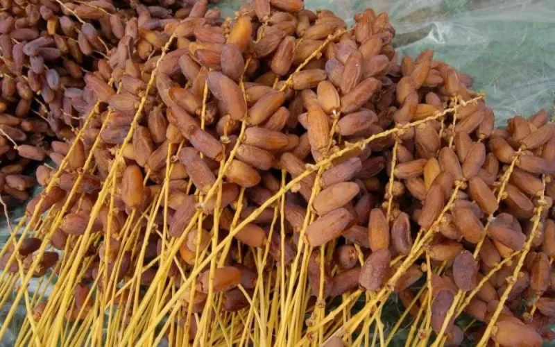 Marrakech : saisie de plusieurs tonnes de dattes impropres à la consommation