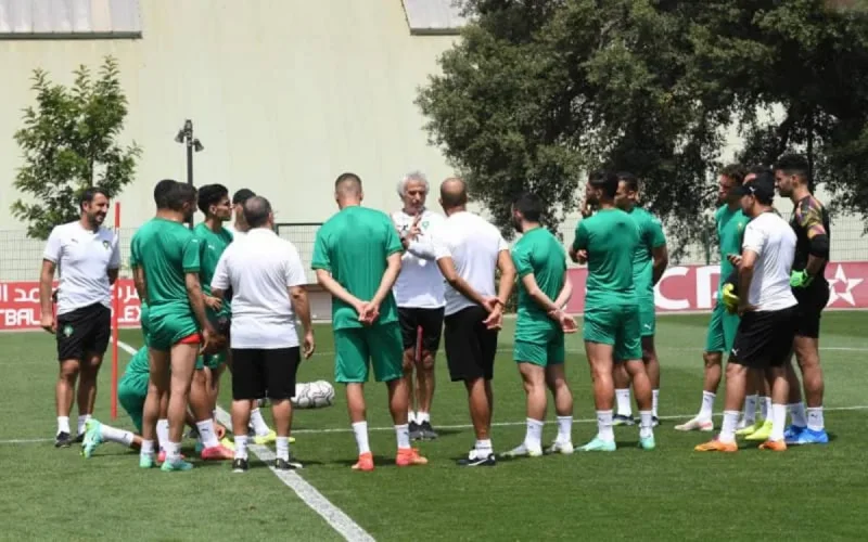 La FRMF mécontente des Lions de l'Atlas et de Vahid Halilhodzic