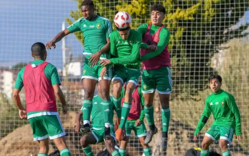 Fouzi Lekjaa appelle les Lionceaux de l'Atlas à plus de persévérance