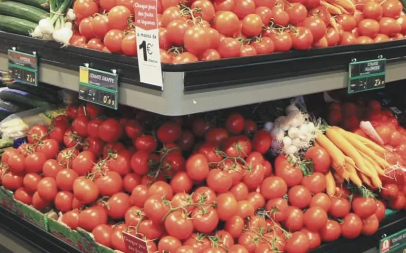 Tomate marocaine : vers une hausse des exportations en Europe ? 