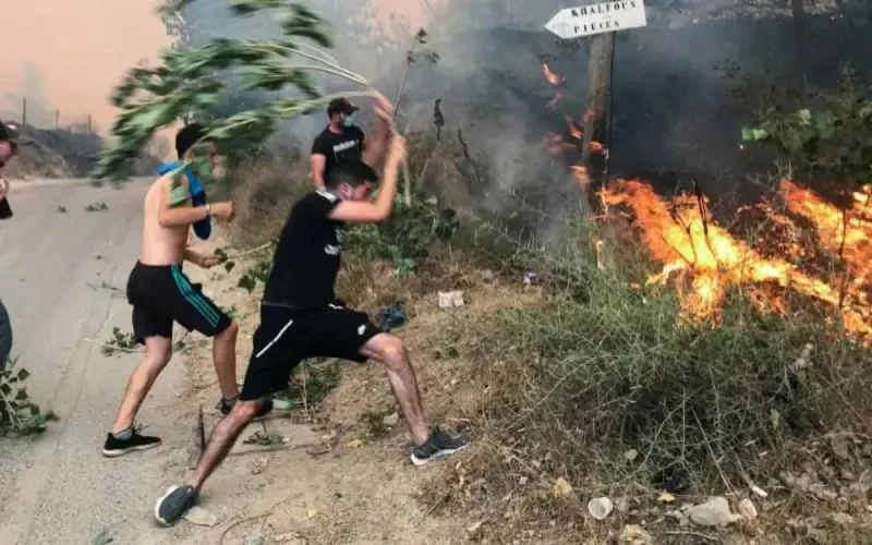 Feux de forêts : l'Algérie maintient ses accusations contre le Maroc
