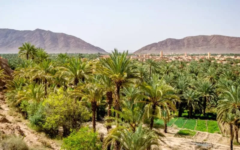 Figuig : comment comprendre la crise entre le Maroc et l'Algérie