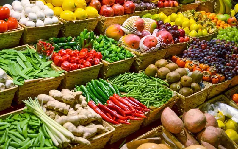 Le Maroc, premier fournisseur hors UE de l'Espagne en fruits et légumes frais