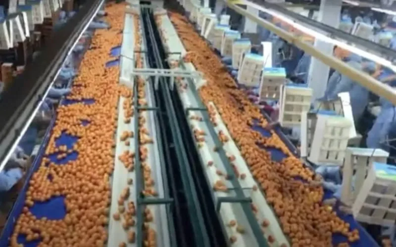 Agrolimentaire : Gopag revoit ses ambitions à la hausse au Maroc