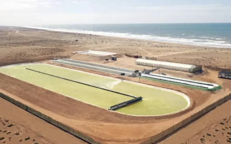 La plus grande ferme d'élimination de CO2 au monde sera au Maroc