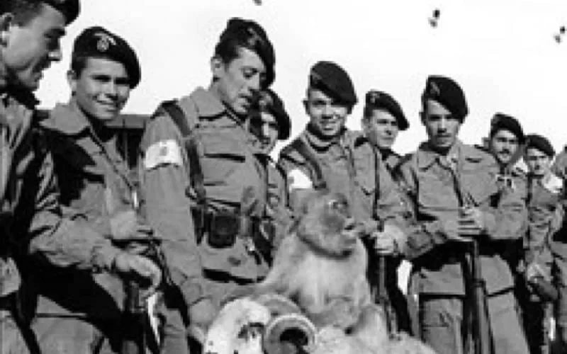 L'Espagne accorde une aide aux anciens soldats de Sidi Ifni