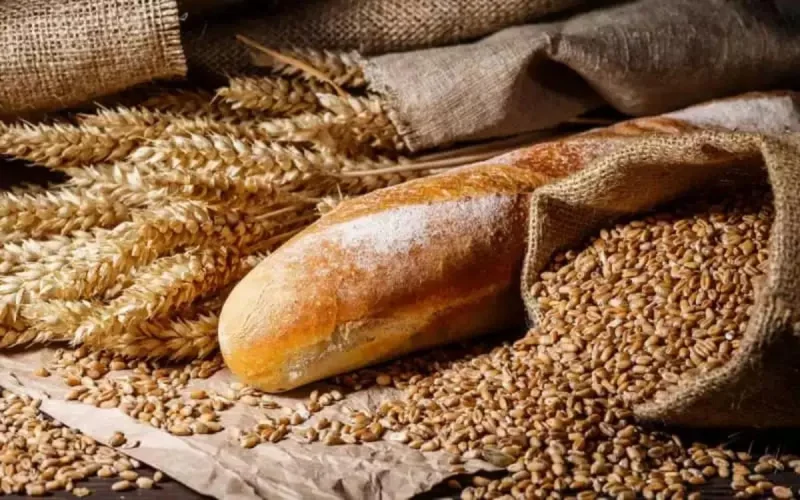 Le Maroc contraint d'importer du blé