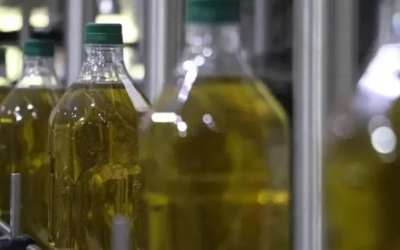 Les paradoxes de l'huile d'olive marocaine