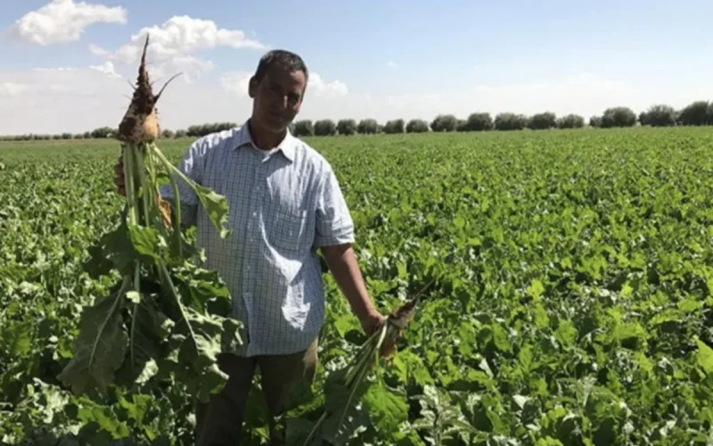 Maroc : des stations de dessalement pour sauver l'agriculture