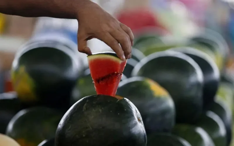 Maroc : une pastèque empoisonne 13 personnes à Taounate