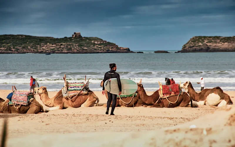 Le Maroc est le pays le plus sûr d'Afrique (classement HelloSafe)