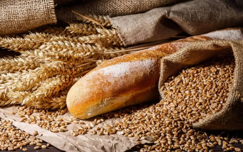 Le Maroc va créer une réserve supplémentaire de blé 