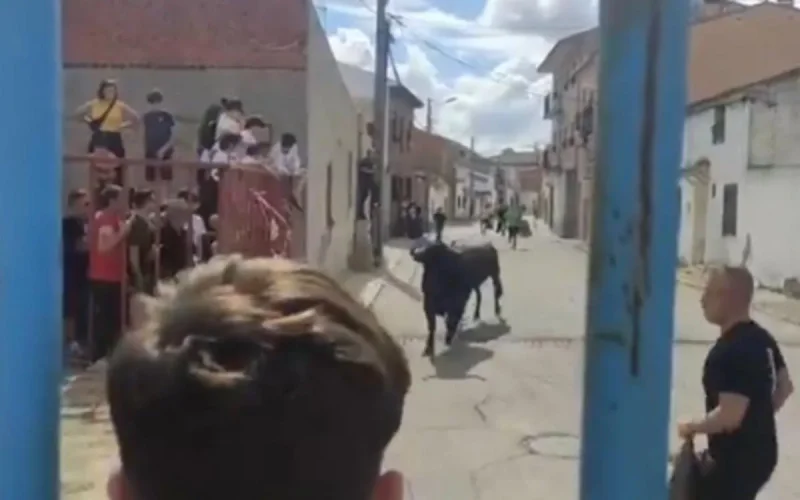 Un Marocain tué par un taureau en Espagne