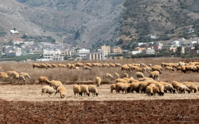 La terre a de nouveau tremblé dans le nord du Maroc