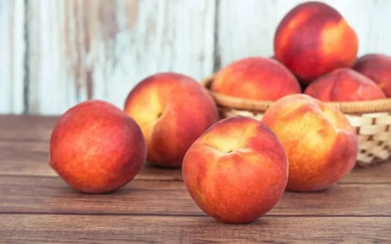 Le Maroc va fournir l'Europe en nectarine et pêche