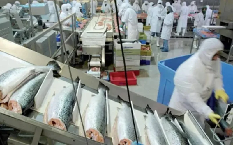 Pêche maritime : un milliard d'investissements à Dakhla