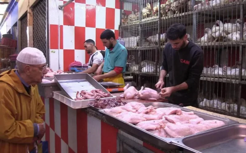 Au Maroc, la menace d'une hausse des prix du poulet plane