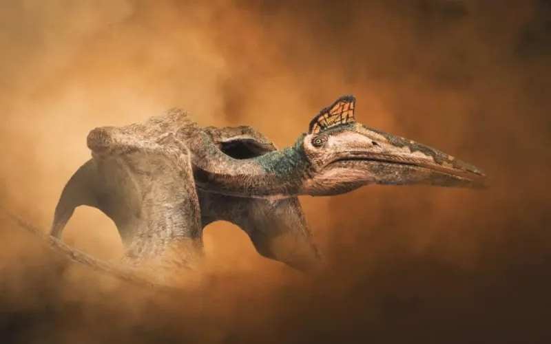 Découverte d'un grand ptérosaure azhdarchidae au Maroc 