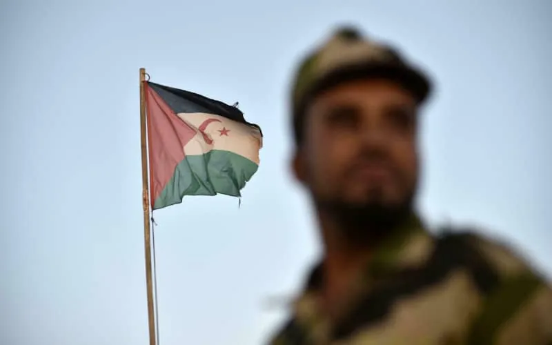 Réaction du Polisario suite au discours du roi Mohammed VI