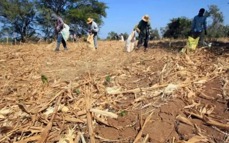 Le Maroc parmi les pays les plus touchés par la pénurie d'eau d'ici 2040