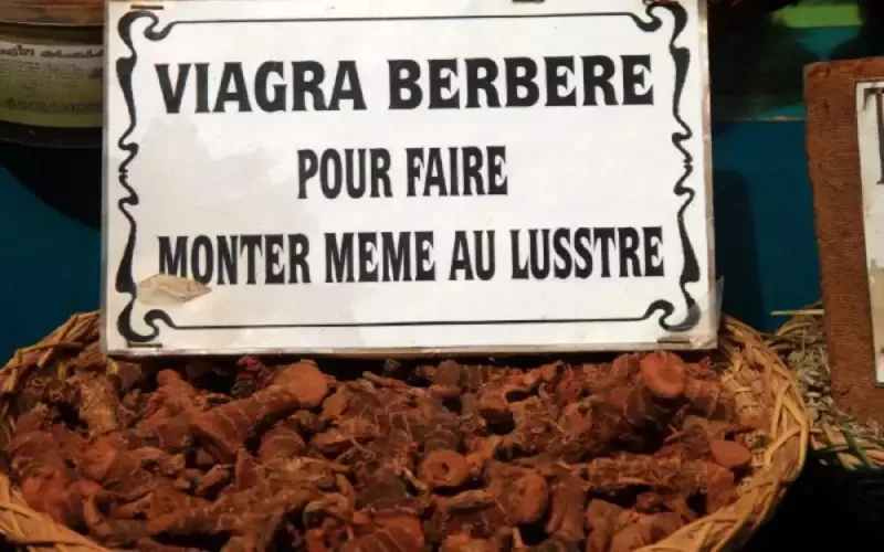 Enquête à Marrakech : le marché clandestin des stimulants sexuels